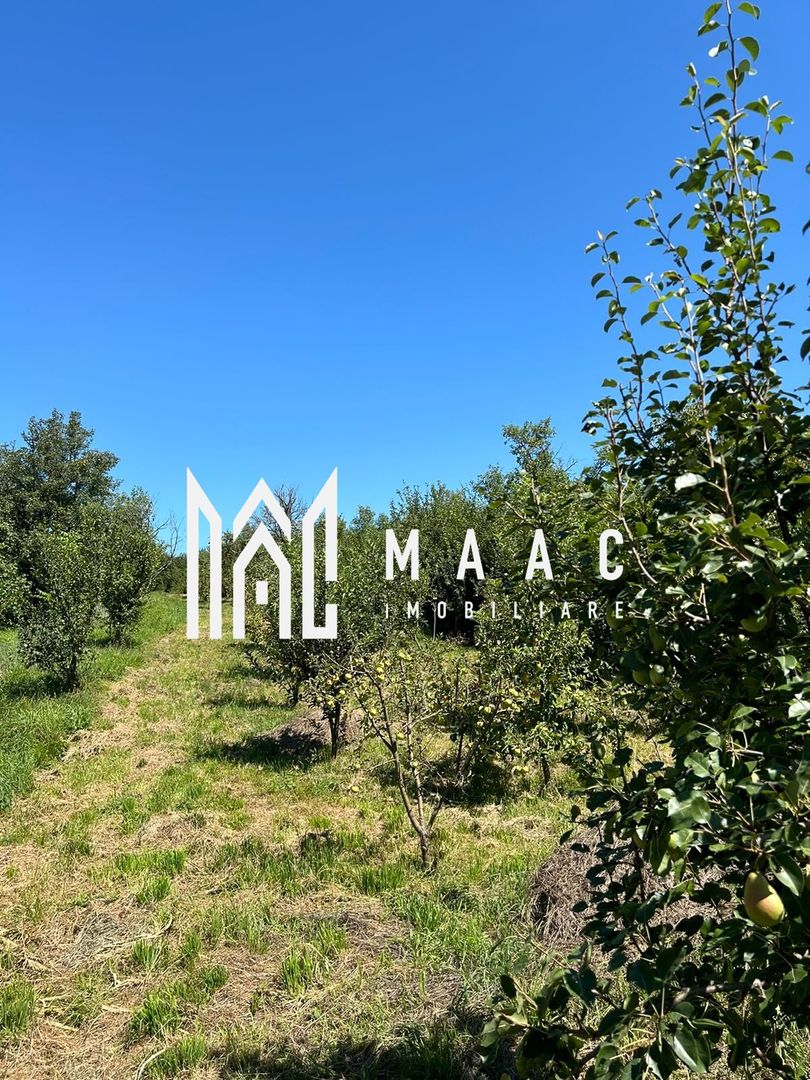 Casa 3 camere I Acces auto I Teren 1.177 mp I Cisnadioara - Poză 7