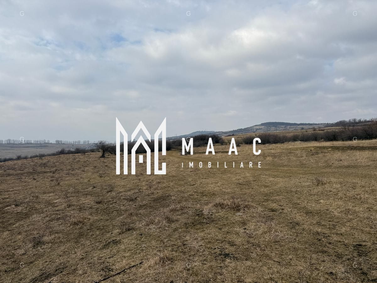 Teren 6,75 ha | Panoramă și Acces Excelent | Dealul Daii - Poză 6