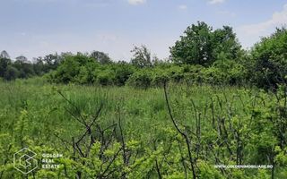 Teren intravilan 2880 mp, DJ 572 Lipova - Poză 3