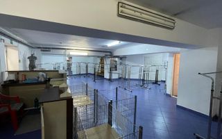 Spatiu Comercial de Vanzare in Marasti, 200 mp, Intrari Separate - Poză 13