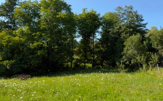 Teren Parau | Valea Danului, Curtea de Arges | Vidraru | - Poză 6