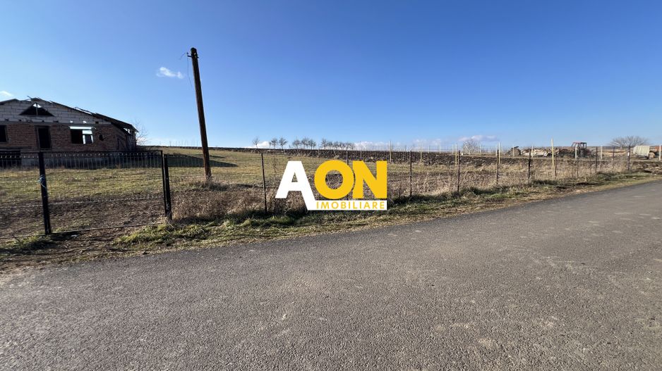 2,314 Mp in Daia Romana, toate utilitatile la asfalt, 80ml deschidere - Poză 6