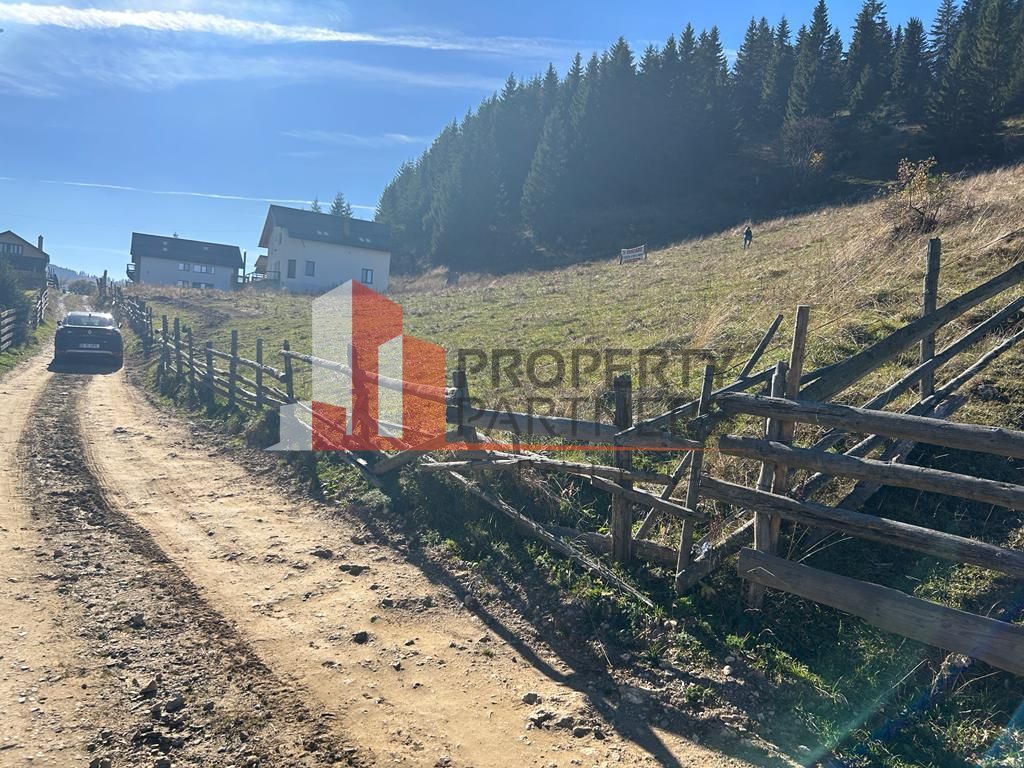 Teren Fundatica intravilan 4500 mp - Poză 15