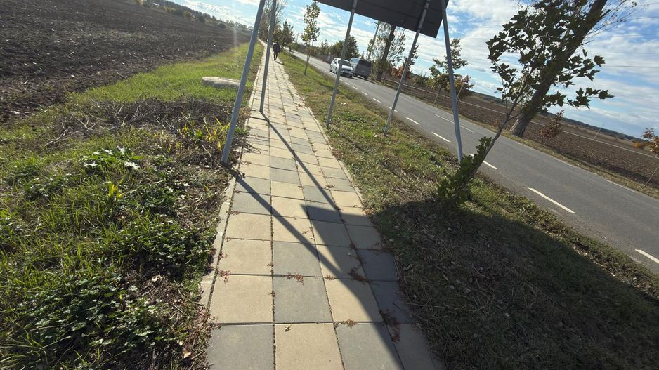 TEREN 26.500 mp -BUFTEA - INDUSTRIAL / COMERCIAL - Poză 2