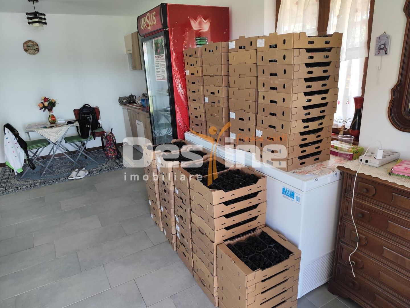 Plantatie de Muri Baicoi 10.000 mp Afacere la cheie! - Poză 5