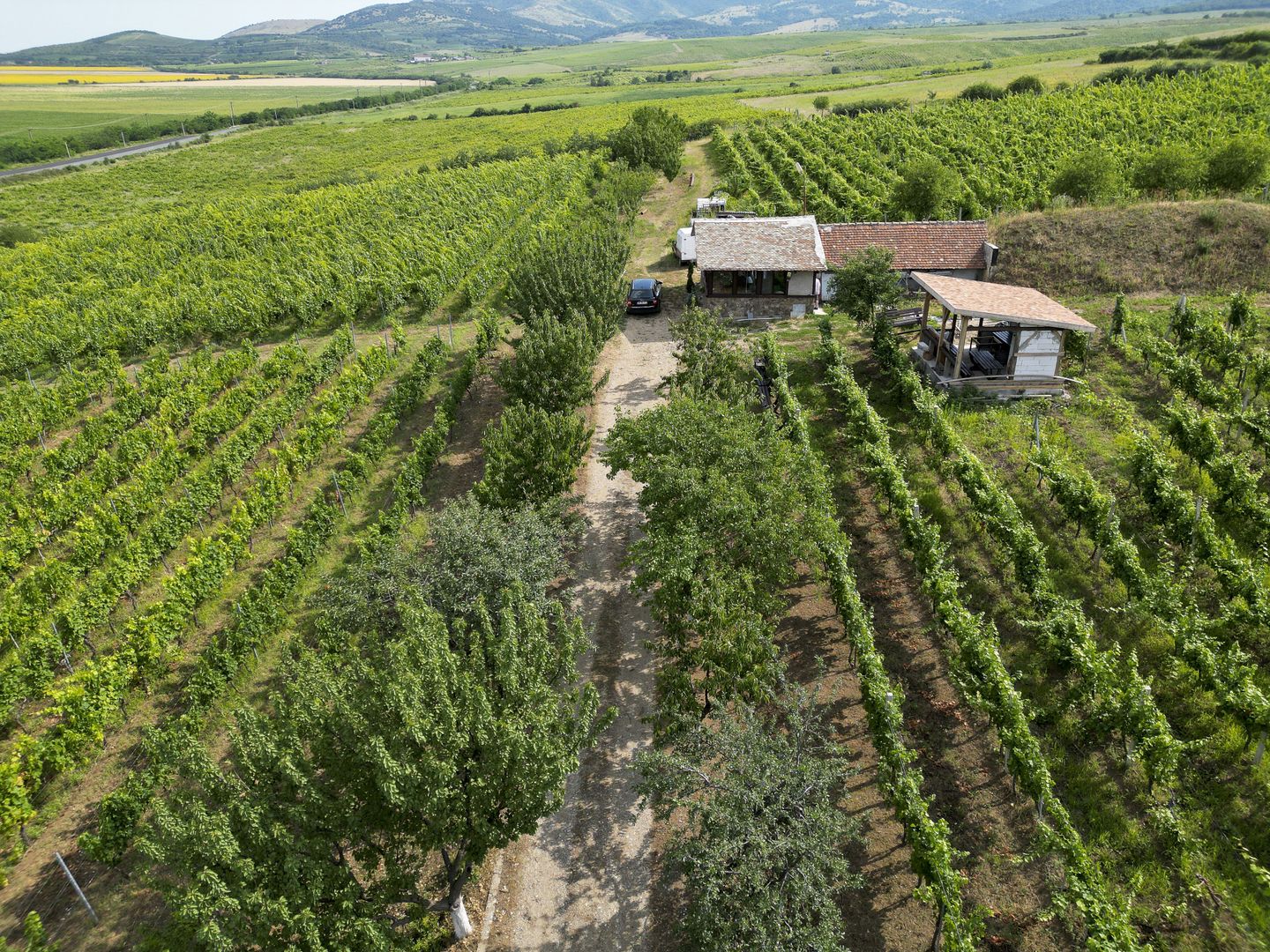 Vie Tradițională „Halta Lupilor” - Poză 44