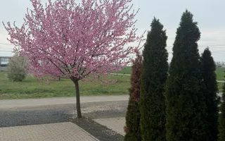Casa la prima inchiriere cu 3 camere - Poză 24