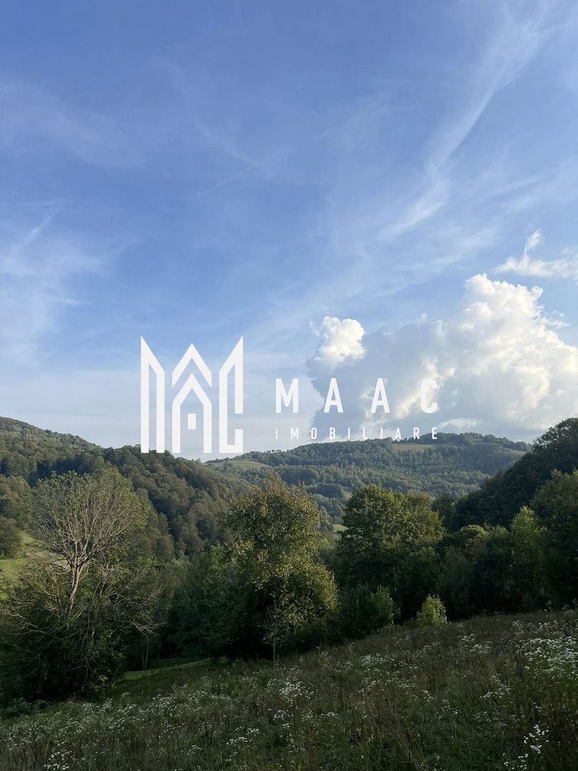 Super oferta I Vânzare Teren – Poiana Sohodol, Județ Alba - Poză 8