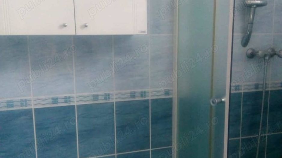 De vanzare Garsoniera Studio 1 camera Cismigiu Pod Hasdeu CURTE propie - Poză 4