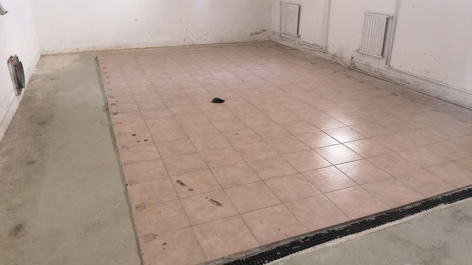 Spatiu industrial zona Sud-Arad - Poză 6