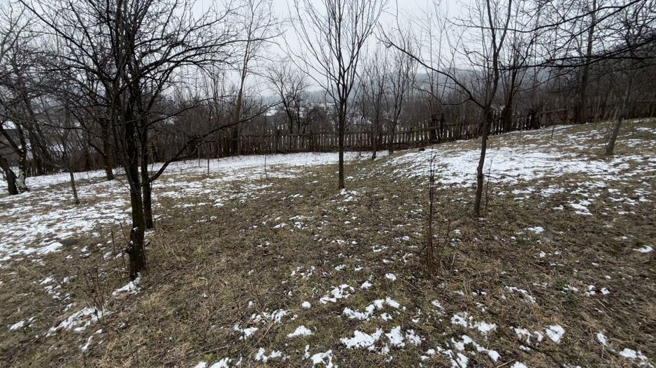 Teren 4652 mp cu izvor pe el, Lunca Mare, lângă păstrăvăria Doftana - Poză 7