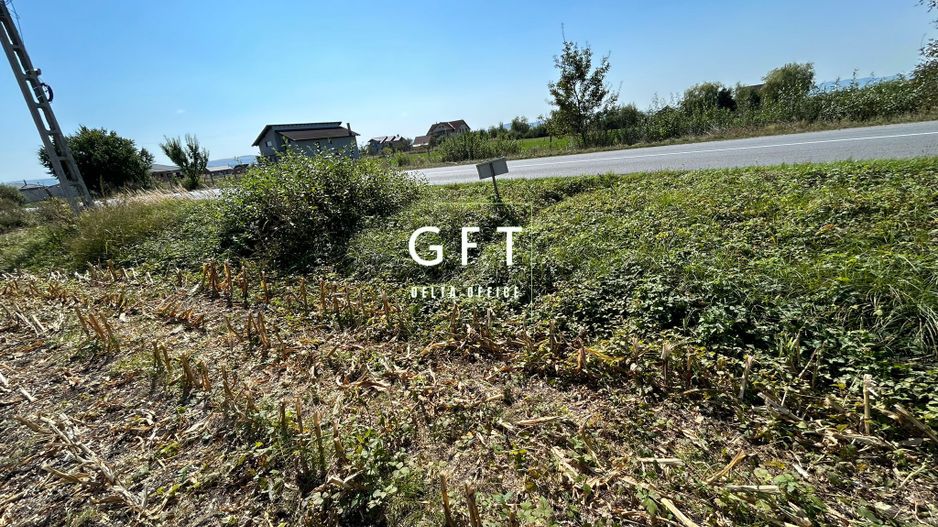 Teren 10 ari, Jelna - Poză 2