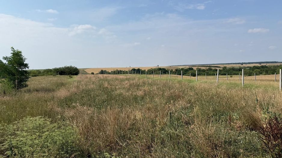 Teren intravilan Miersig, vedere la lac. 12,5 E/mp neg. Comision 0 - Poză 7
