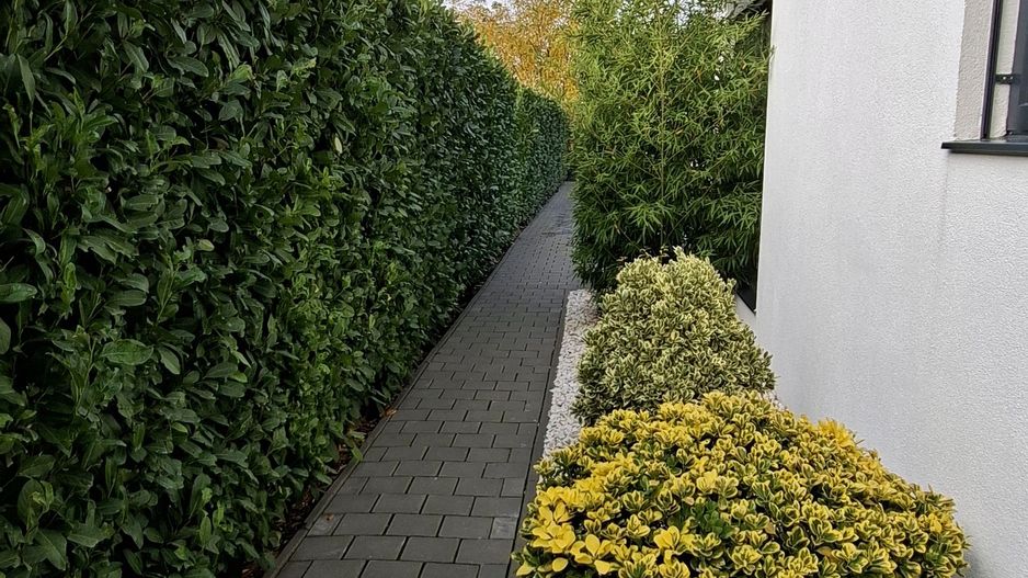 Casa mobilata si utilata cu teren de 432mp - Poză 36