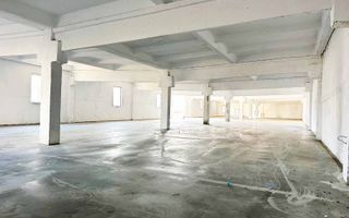 Inchiriere Hale Industriale în Aluniș, Arad  250 mp-1.500 mp - Poză 2