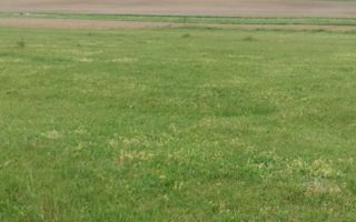 Teren intravilan 7.200 m2, Bordea, Grajduri, ideal case/ investitie - Poză 7