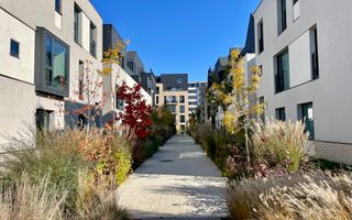 Vila 6 camere / Townhouse Avalon Estate - Poză 21