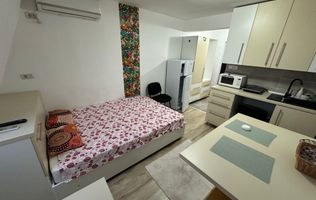 Apartament 1 camera la Mansarda