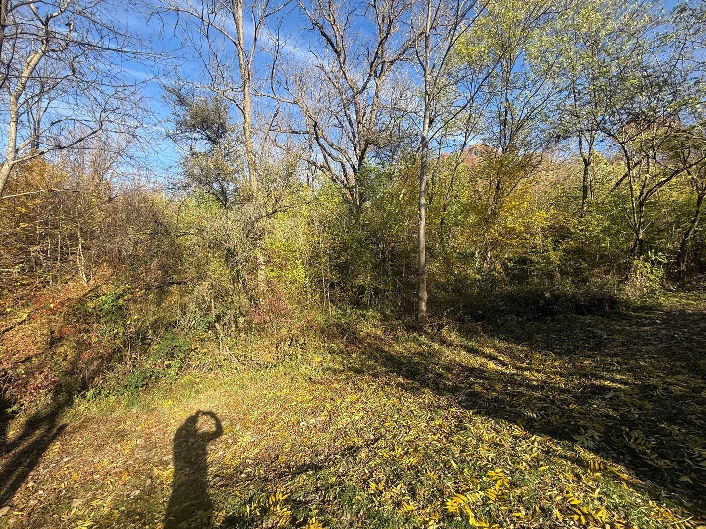 Teren langa pădure 6400mp+casa demolabila-deschidere 35 ml - Poză 15