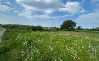 De vânzare teren în comuna Buciumi - Poză 4