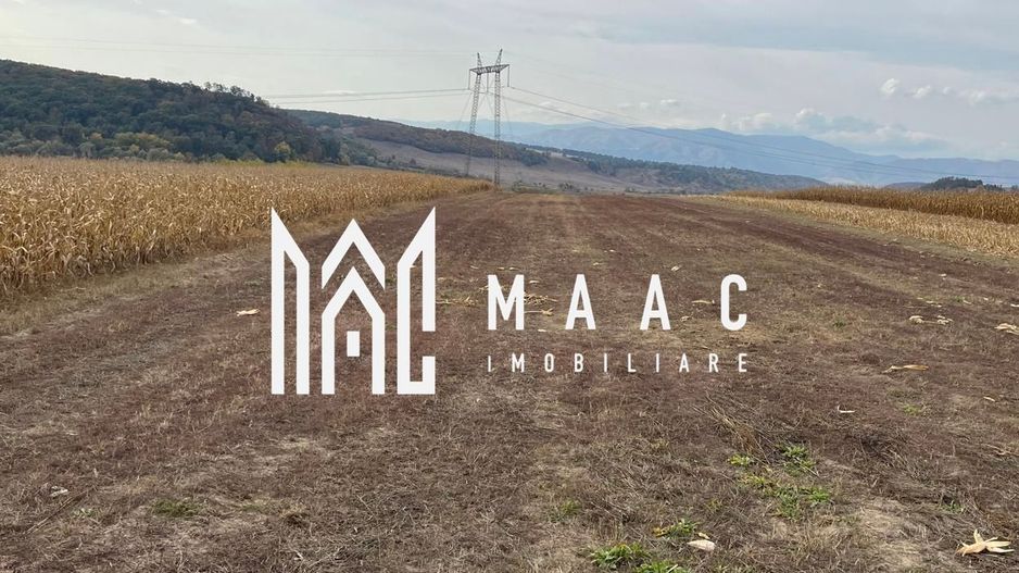 Teren extravilan de vânzare | Daia | 1.500 mp - Poză 1