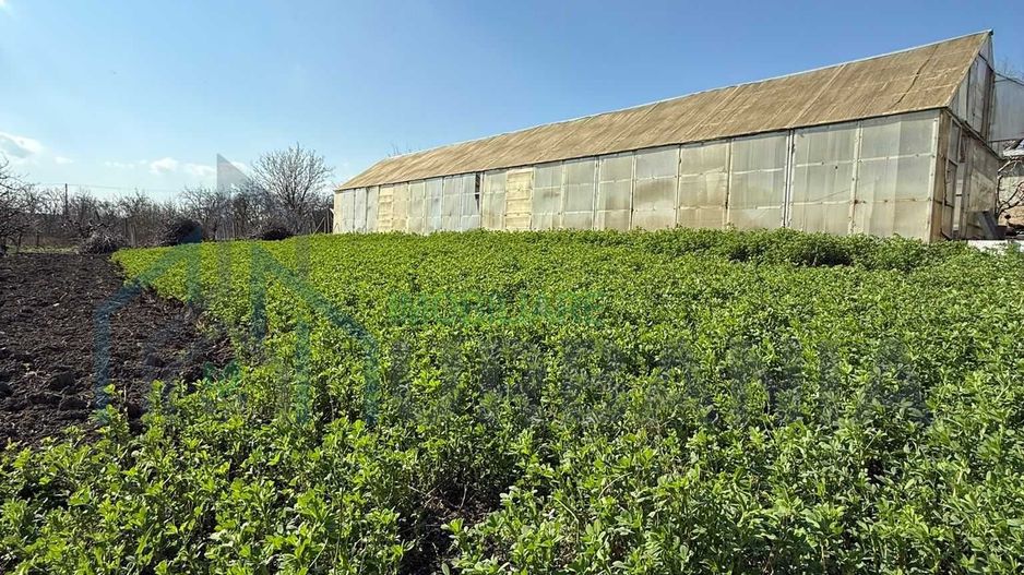 Teren de vânzare cu seră și vie în com. Belcești, jud. Iași - Poză 6