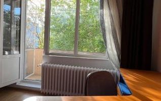 Garsoniera Dristor, mobilata decomandata - Poză 14