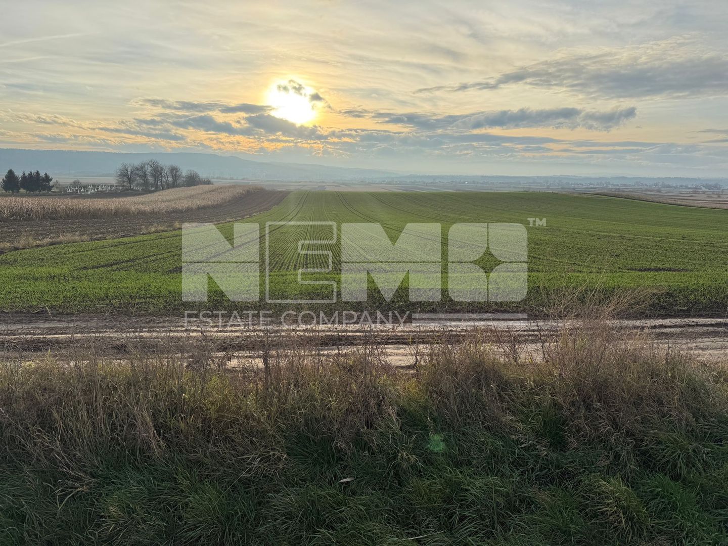 TEREN EXTRAVILAN | E85 | 126.000EURO NEGOCIABIL | - Poză 10