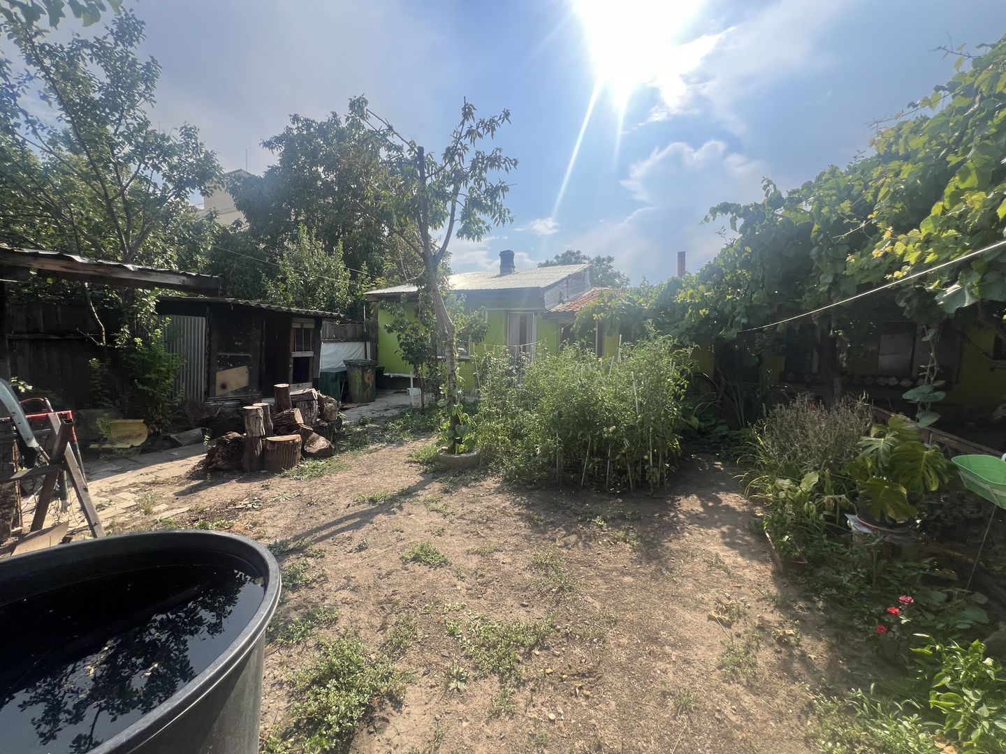 Teren Piata Presei - Poligrafiei - Damaroaia - Poză 7