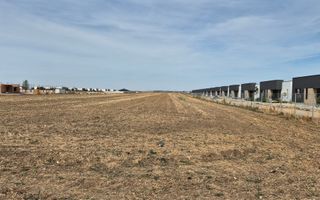 Teren intravilan 16.248 mp - Domnesti - Poză 5