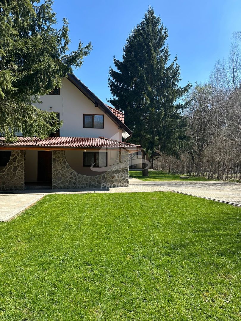 Pensiune/ Vila Valea Avrigului - Poză 2