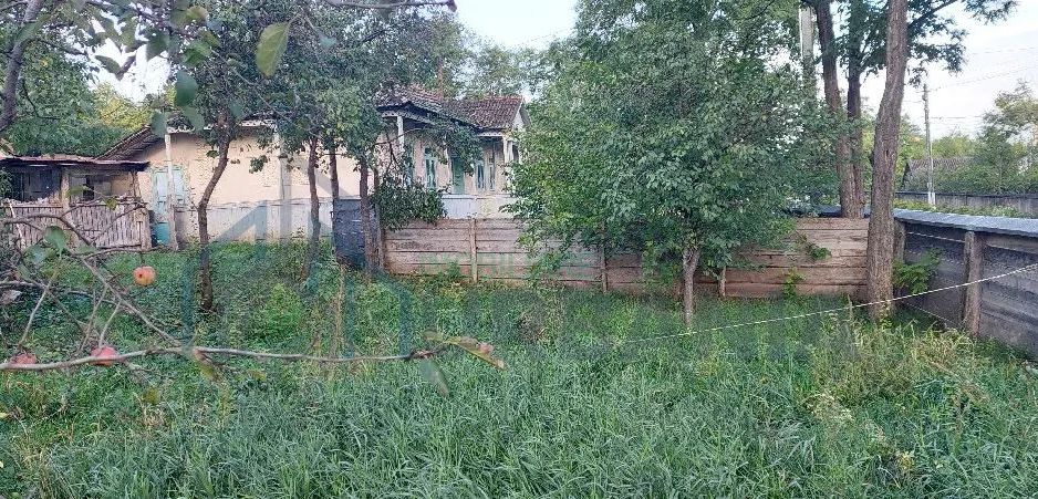 casa batraneasca de vanzare - Poză 2