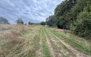 Teren de vânzare în Putna | 6.400 mp | 56 m front stradal - Poză 4