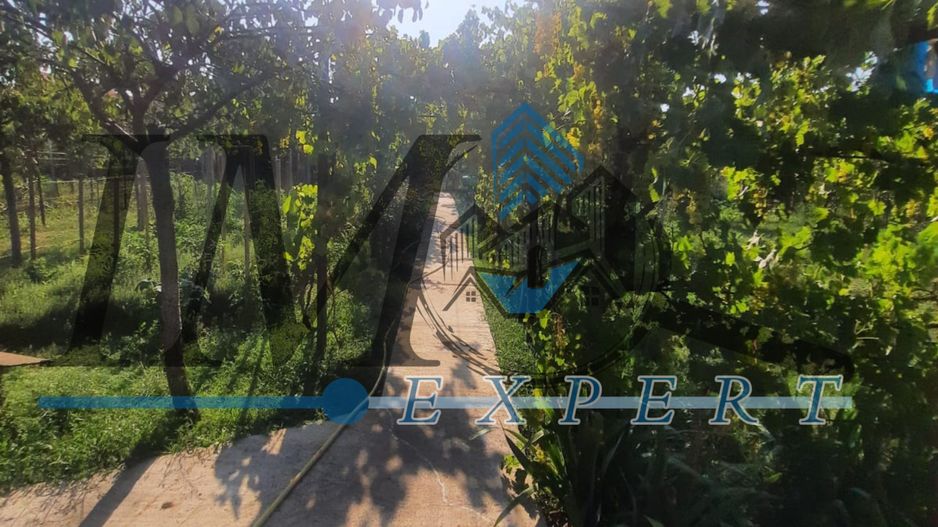 Casa in Sebeș de vânzare - Poză 9