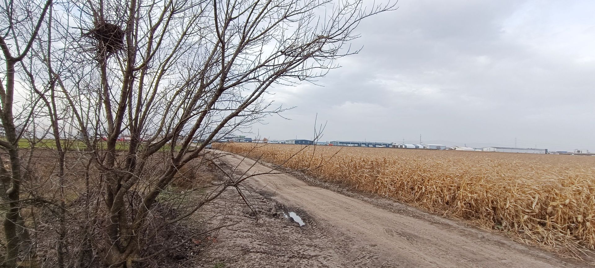 Teren intravilan industrial,str.Durau - Poză 7