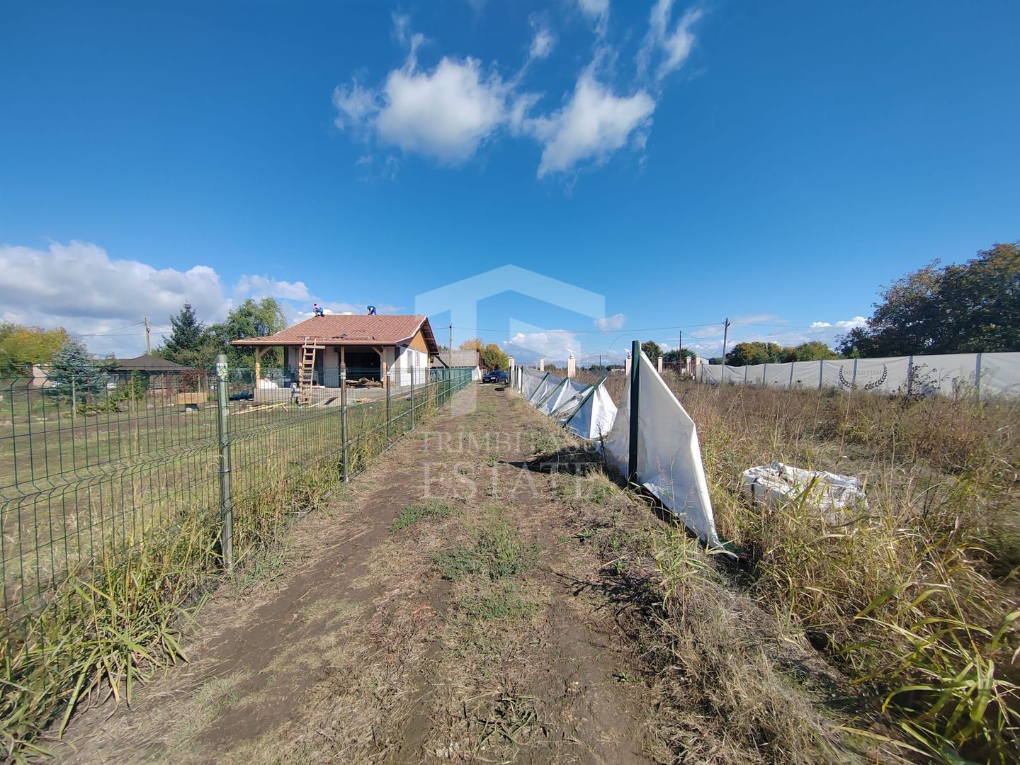 Gagu Dascalu teren ideal pentru investitie zona in dezvoltare - Poză 9
