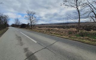 Vand teren extravilan - Poză 8