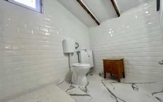 Casa **8 camere** // Domenii - Poză 46