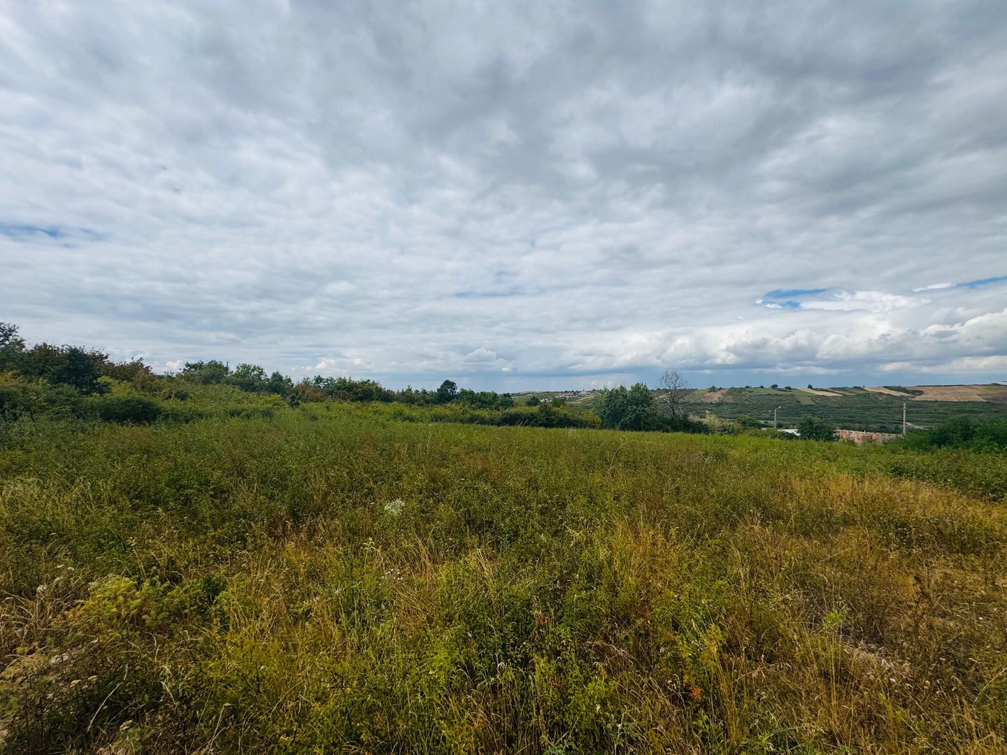 Parcele teren intravilan Paleu - Poză 4