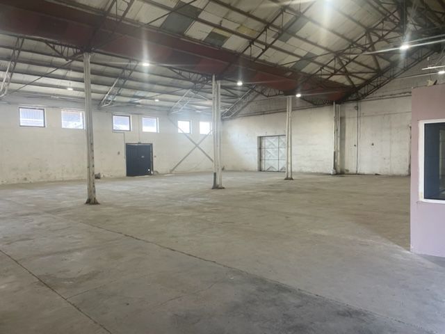 300mp. hala depozitare/productie zona S Timisoara - Poză 5