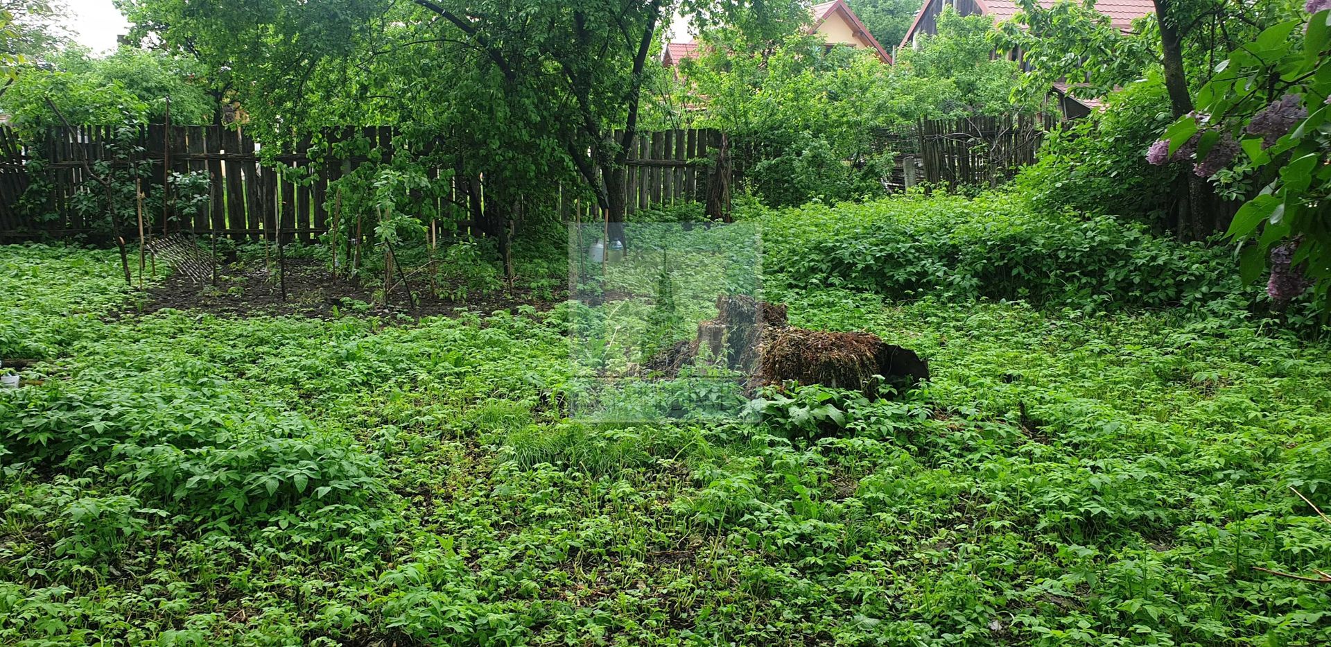 Casă bătrânească de vânzare în Tărlungeni - Poză 3