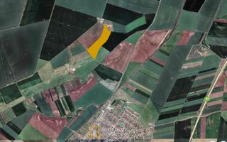 Teren agricol 12,28 ha Sagu – acces DN69 & A1, acum 1,38 €/m - Poză 2