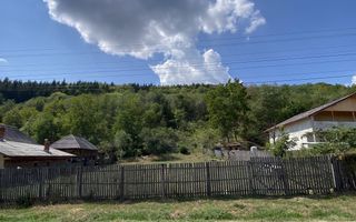 Teren 4000 mp intravilan loc. Aninoasa, jud Arges. Comision 0% - Poză 5