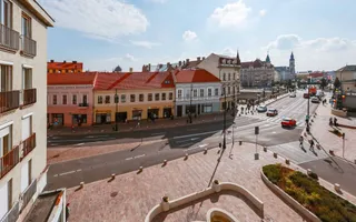 Apartament 2 camere | Pet Frendly | Ultracentral | Oradea - Poză 12