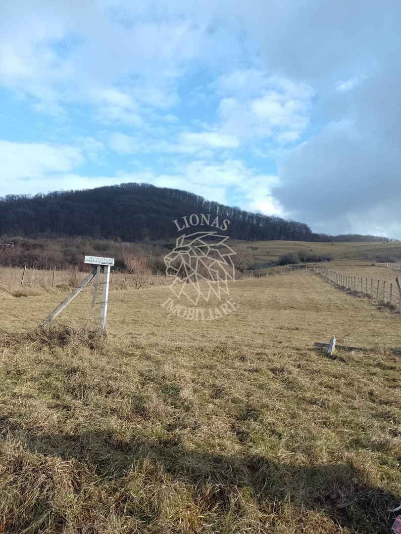 Teren la drum 2000 mp-pretabil investitie-Saratel - Poză 2