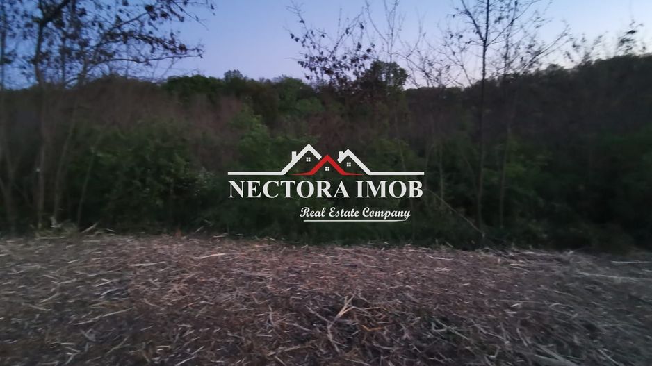 NECTORA IMOB-Loturi de teren 500 mp,Zona Saldabagiu de Munte-Lac Paleu - Poză 6
