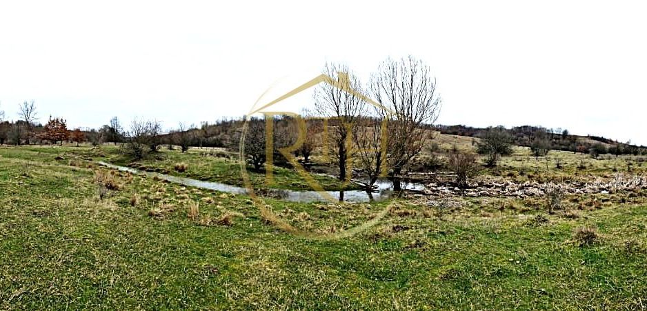 Terenuri extravilane de vânzare – Vizma & Crivobara, comuna Secaș, jud. Timiș - Poză 11