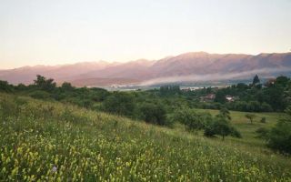 Teren | Intravilan | 5129 MP | 2 Cabane AFrame | Oportunitate Investiție | Bradu - Poză 4