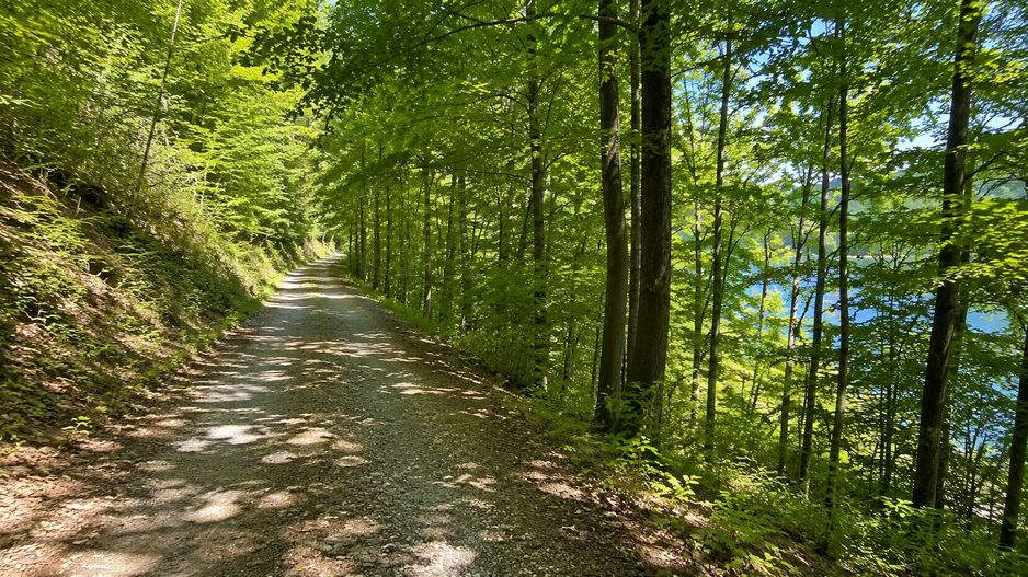 Teren intravilan cu acces la Lacul Tarnița – Somesu Cald - Poză 3