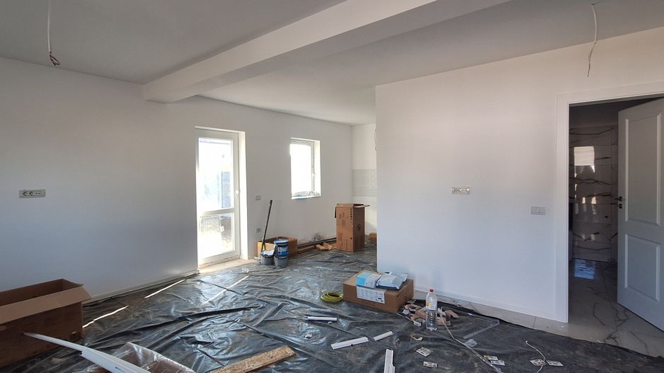 Locuinta individuala - Sanandrei - Poză 1